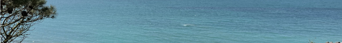 mer